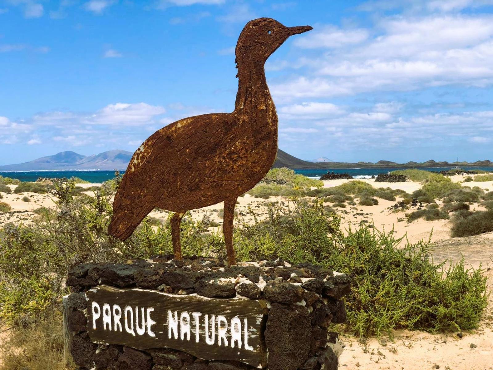 コラレホSunset Spot Fuerteventura Premium IIアパートメント エクステリア 写真